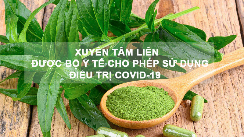 0011121 xuyen tam lien duoc bo y te cho phep su dung dieu tri covid 19 800