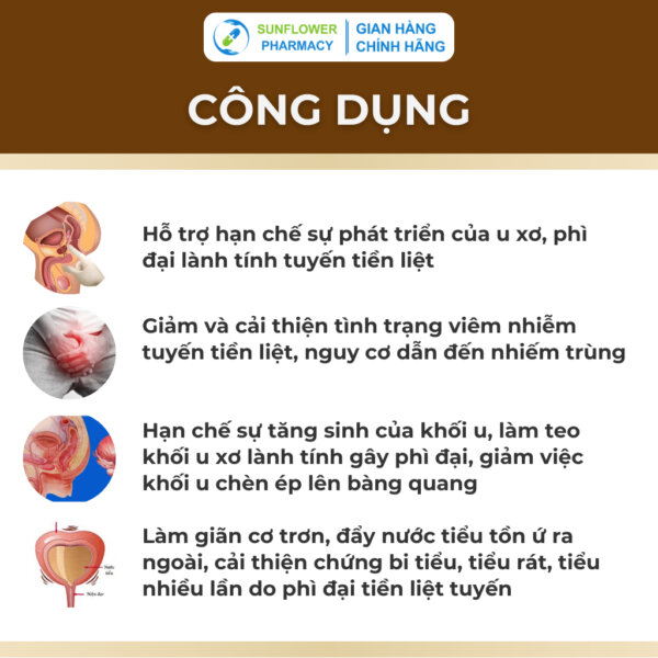 Cong Dung 20