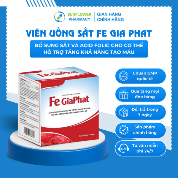 Fe Gia Phat 2