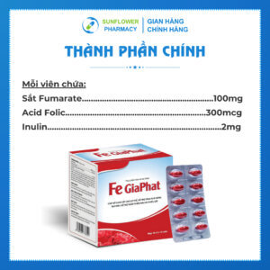 Thanh Phan Chinh 13