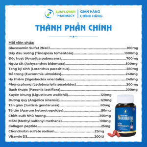 Thanh Phan Chinh 15