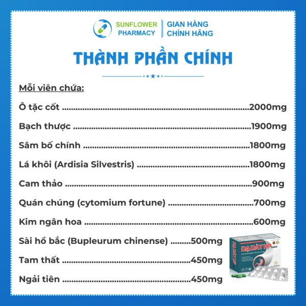 Thanh Phan Chinh 18