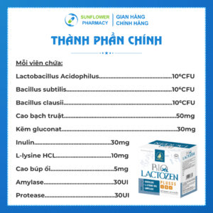 Thanh Phan Chinh 31