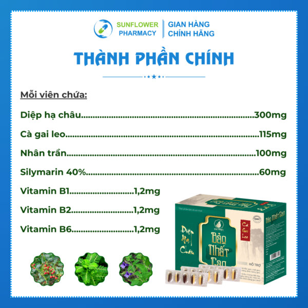 Thanh Phan Chinh 42