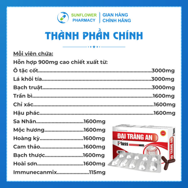 Thanh Phan Chinh 46