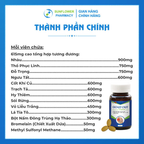 Thanh Phan Chinh 6