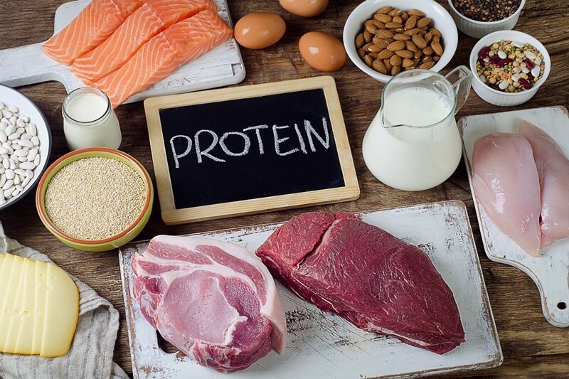 20200917 protein2 1