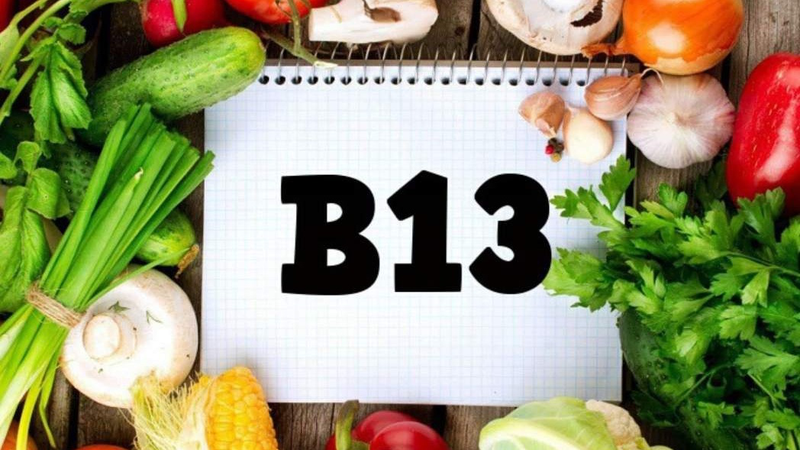 ban da thuc su hieu ve vitamin b13 chua 1 Cropped 36e4e5e278