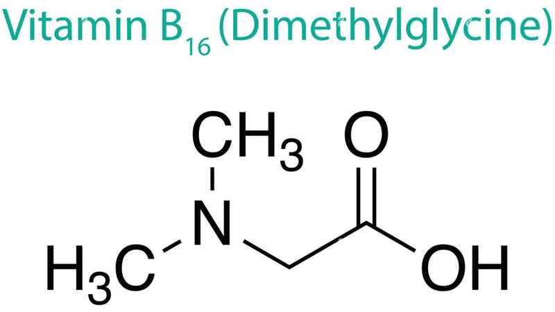 vitamin b16 va tat tan tat nhung dieu ma ban can biet 2 3f4c0ab721