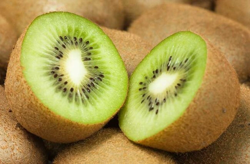 kiwi skin 92185664 770x533 1 650x428 1700617487593