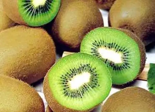 kiwi EOEJ.jpg