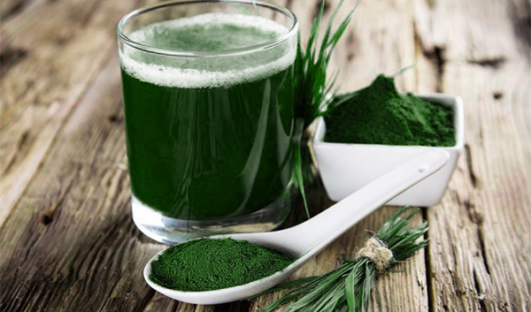 luu y khi su dung tao xoan spirulina 1