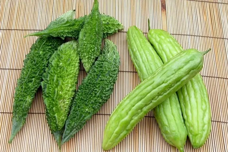 su that ve cong dung tuyet voi cua qua muop dang 1 60348e6ba3