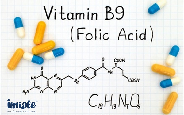 vitamin b9 acid folic